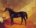 Mr Johnstones Charles XII in a Stable Herring Snr John Frederick horse